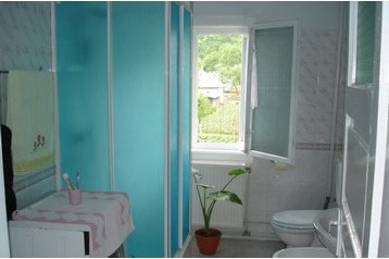 Rumunsko Privát Vişeu de Sus, Exteriér